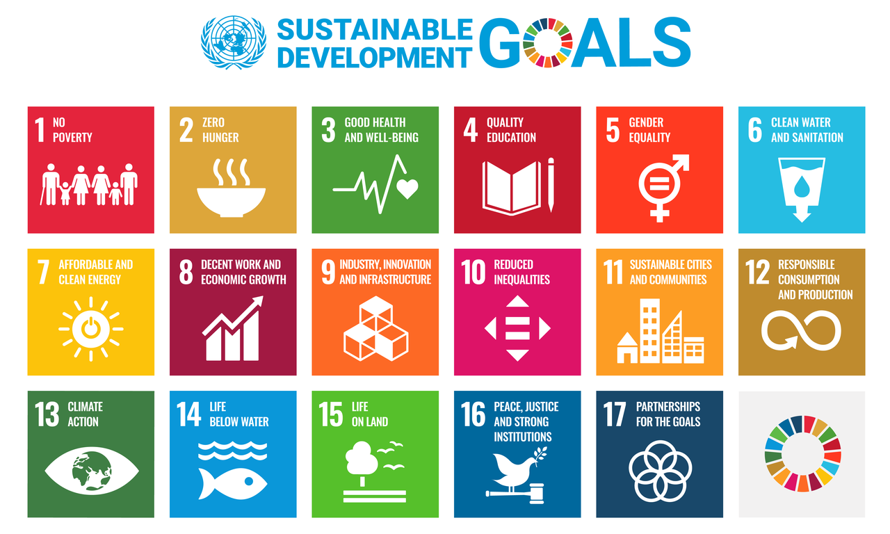 The 17 UN Sustainable Development Goals